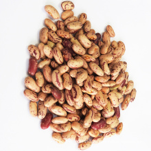 Dried Pinto Bean Best Price Light Speckled Kidney Beans